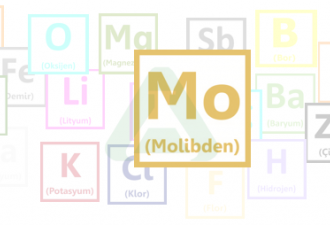 Molibden Elementi
